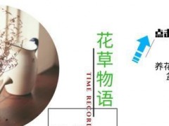 多肉植物別急著“露養(yǎng)”，大神教你做好“4準(zhǔn)備”，可以減少空盆