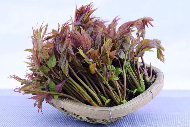 水培蔬菜怎么種植_蔬菜種植水培技術(shù)視頻_水培蔬菜怎么種植視頻