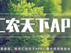 誰說北方地區(qū)不能發(fā)展珍貴樹種？強烈推薦這18個樹種！